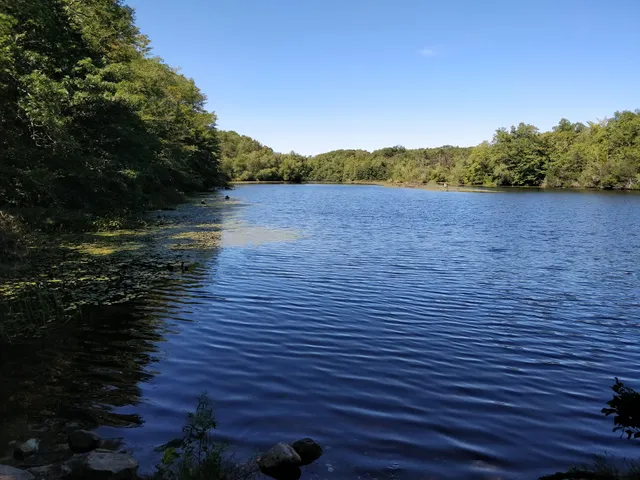 Simmons Pond