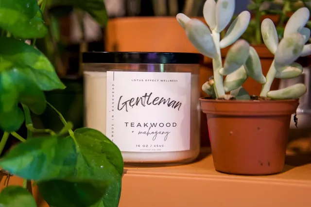 Lotus Effect Wellness (Candle Shop, Candle Making Workshops, Custom Candle Gifting)