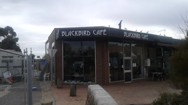 Blackbird Cafe