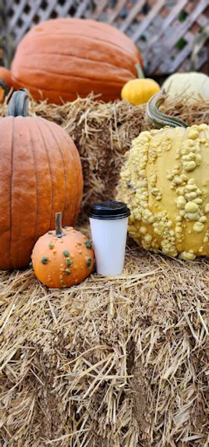 Where To Get Espresso