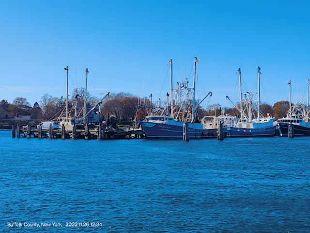 Mitchell Park & Marina