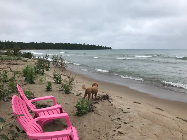 Dominion Bay Cottages