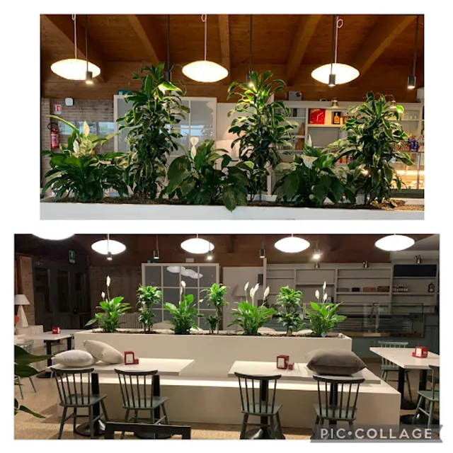 Al Forte Tombion Ristorante Pizzeria