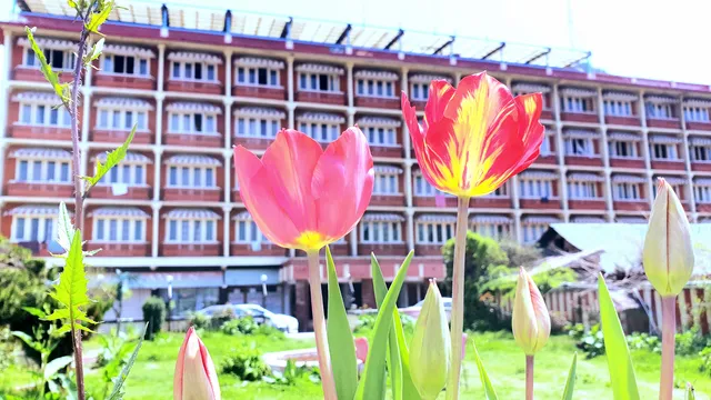 Hotel Shah Abbas Palace