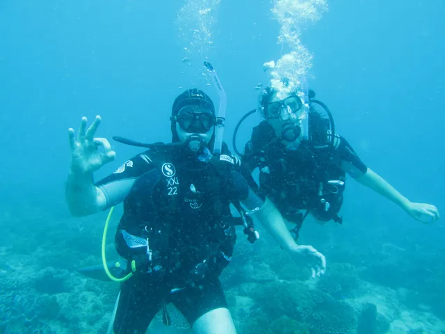 Captain Mike's Diving Services Inc