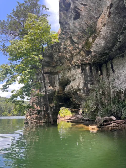 Hogscald Public Access