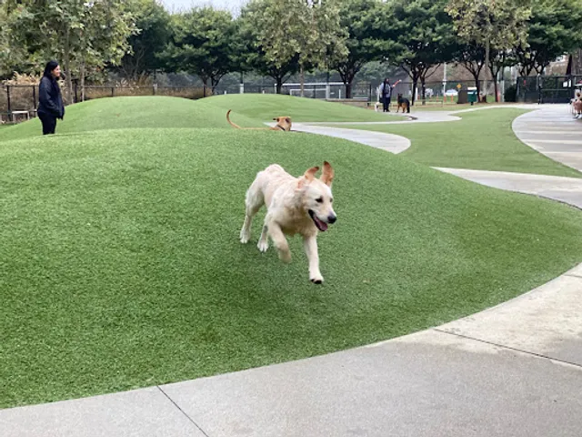 Bluff Creek Dog Park