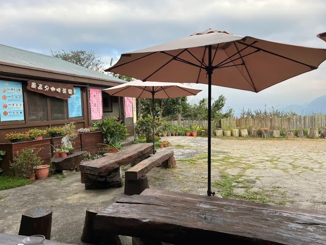 最高分咖啡莊園