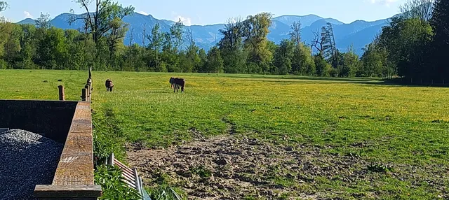 Seltenhof Familie Kirner