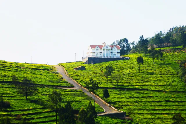 Kodanad Estate Bungalow
