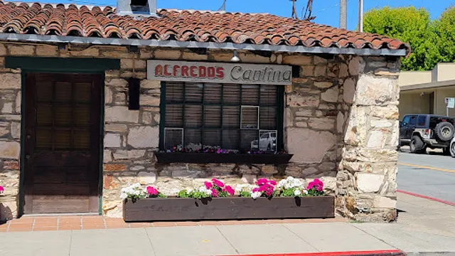 Alfredo's Cantina