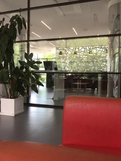 საქართველოს გენერალური პროკურატურა