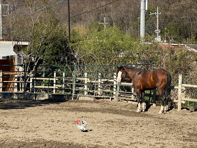 グランドポニークラブ