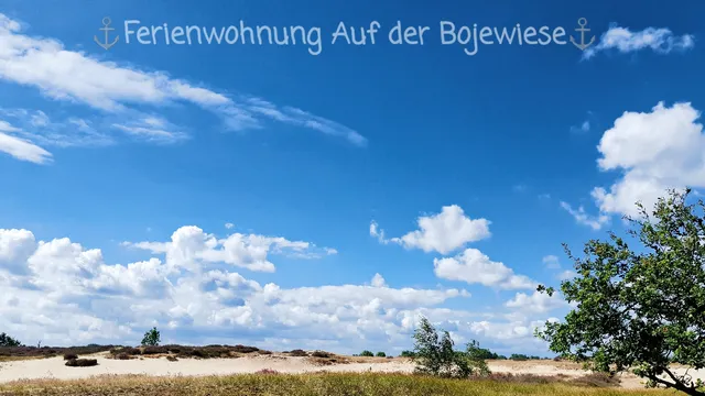 Ferienwohnung Auf der Bojewiese