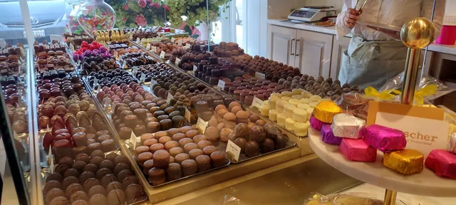 Teuscher Chocolates of Switzerland