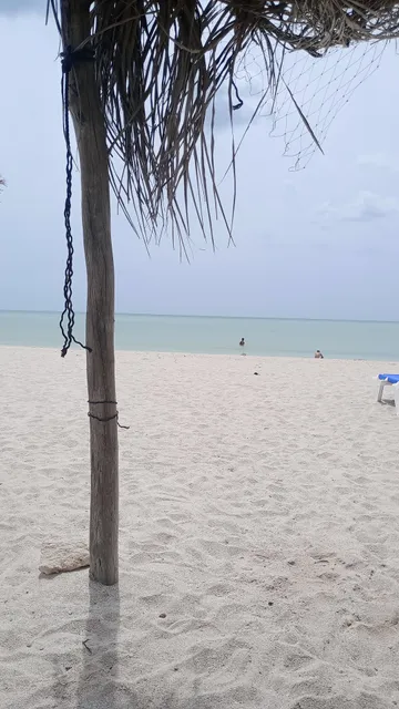 Playa platino Celestún