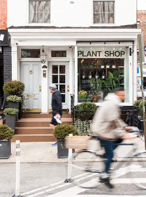 The Old Yew Plant Shop