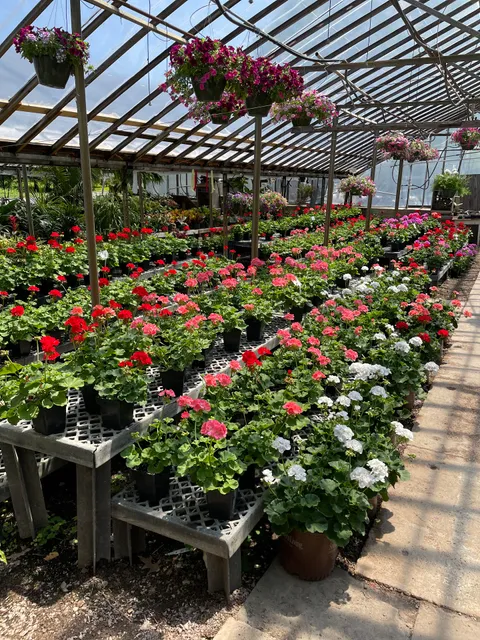 Marianna Green Houses