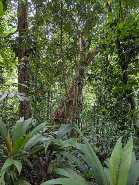 Pick Up Nativo Adventures