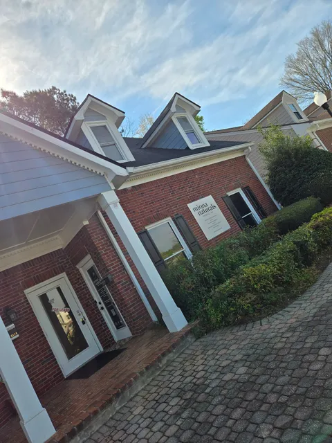 Miona Naturals: Skin & Brows