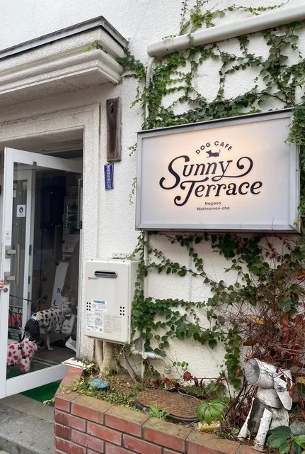 ドックカフェsunny terrace