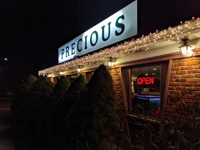 Precious Chinese Cuisine