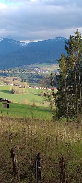 Schmalzreich Andrea Ferienwohnung