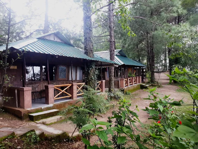Pinewood Nirvana, Park Woods, Shoghi Shimla