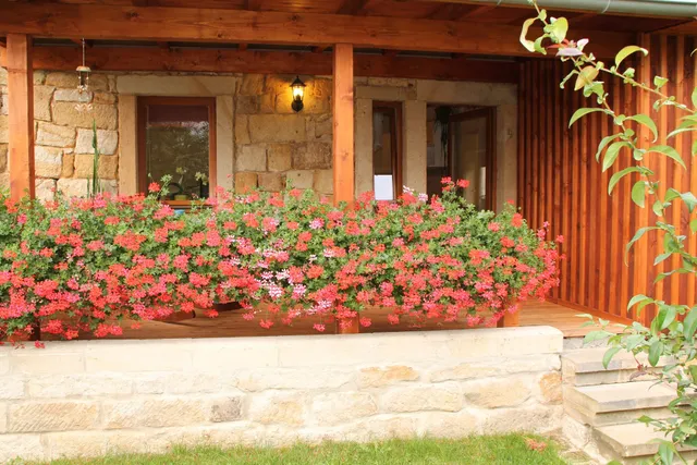 Jörgs Ferienwohnung