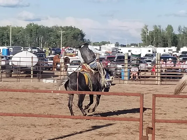 Wojo's Horse Training