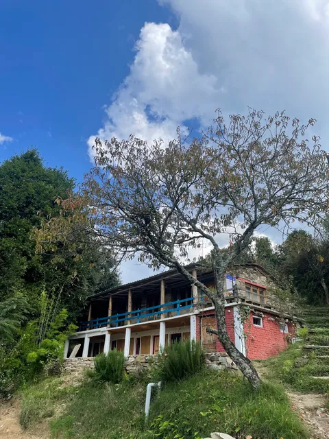 Darima birdhouse farm