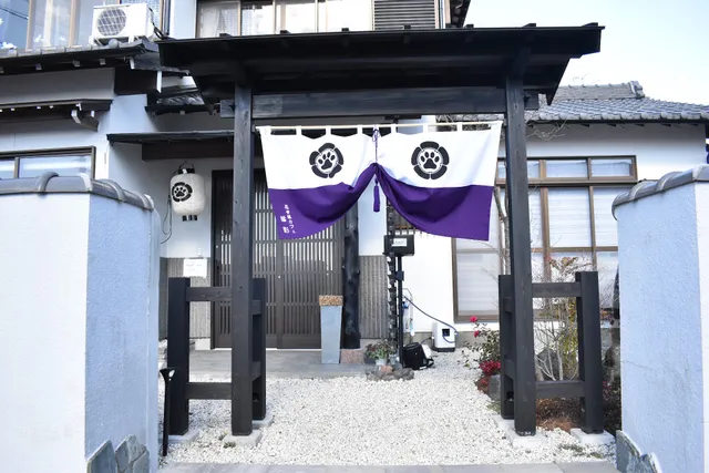 忍者ねこカフェ 猫影