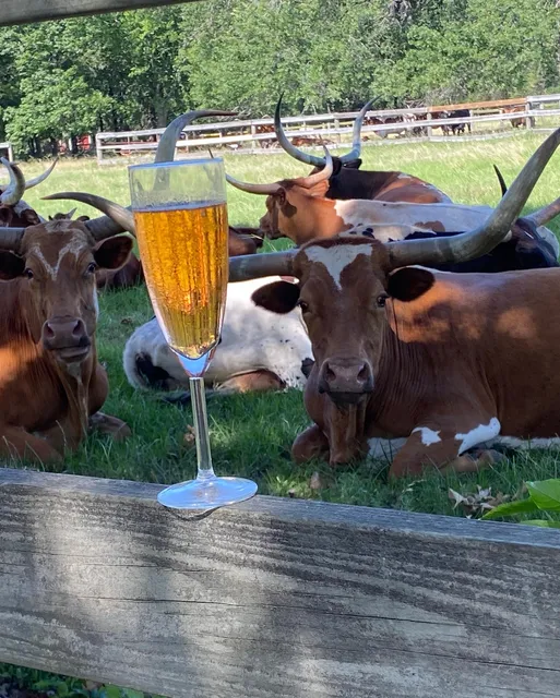 Triple N Ranch Winery and Vineyard