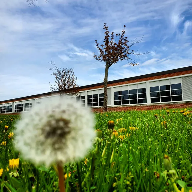 Ernest W. Seaholm High School