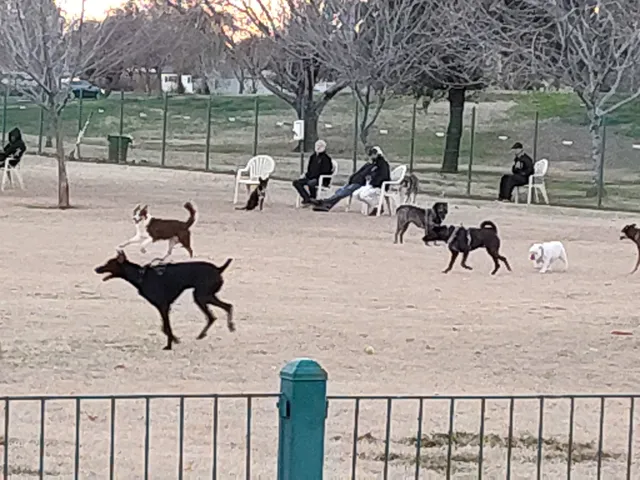 Sunnyslope Dog Park
