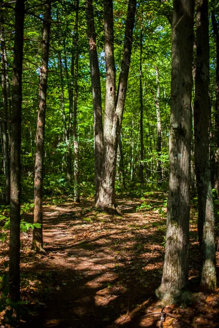 Gilbrook Nature Area