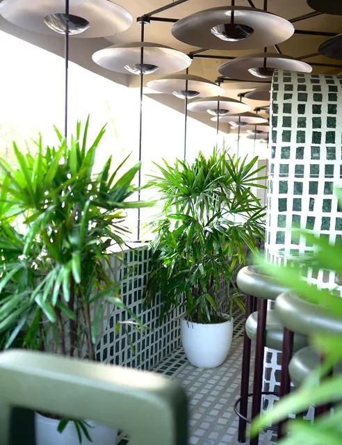 Tin Tin Modern Asian Restobar