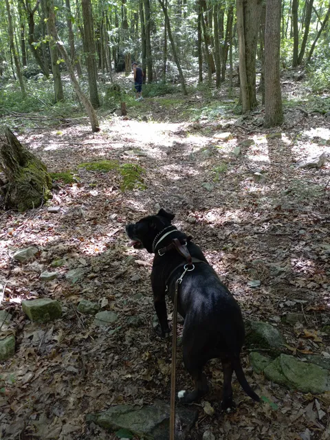 Shade Mountain Trailhead