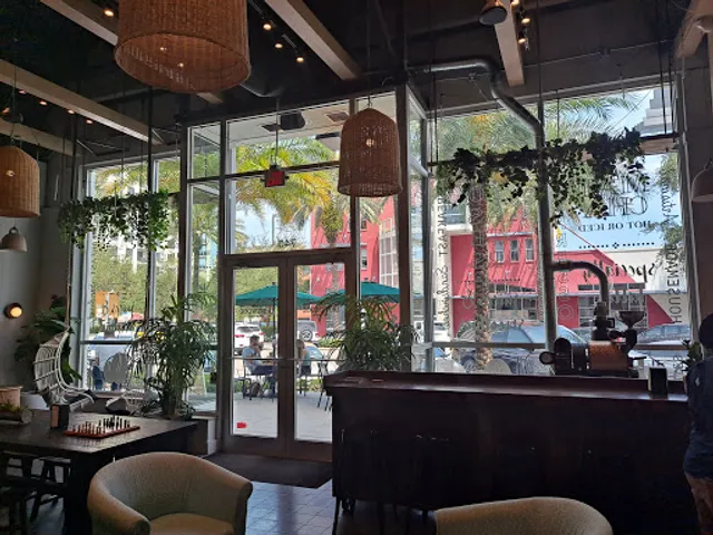 Driftwood Kava & Roastery St. Pete