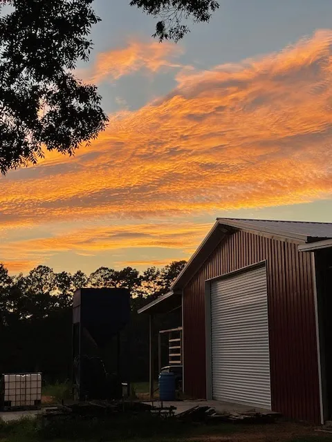 Bell Feed & Seed LLc