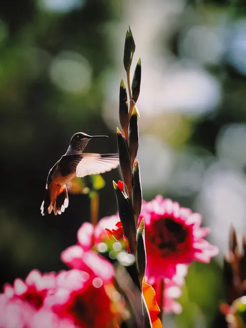 Orly's Gallery of Art