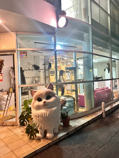 猫カフェ・MIHOO (美頰) 鶴橋店