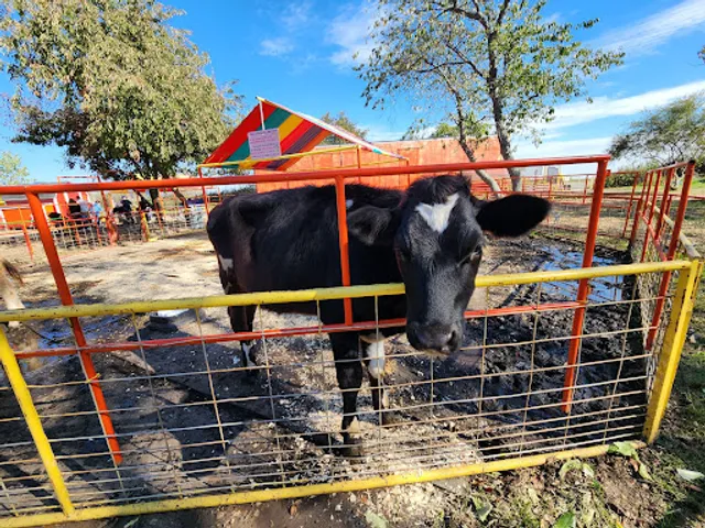 Green Meadows Farm Brooklyn