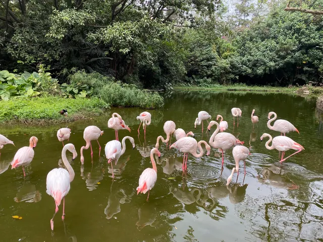 Guangzhou Zoo （Southwest Gate 2）