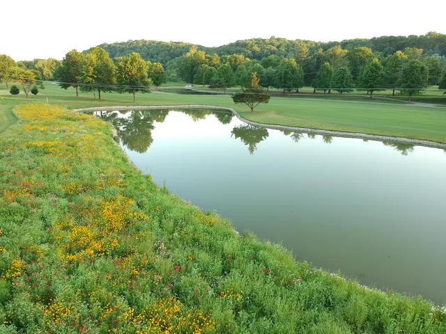 Kingswood Golf Course