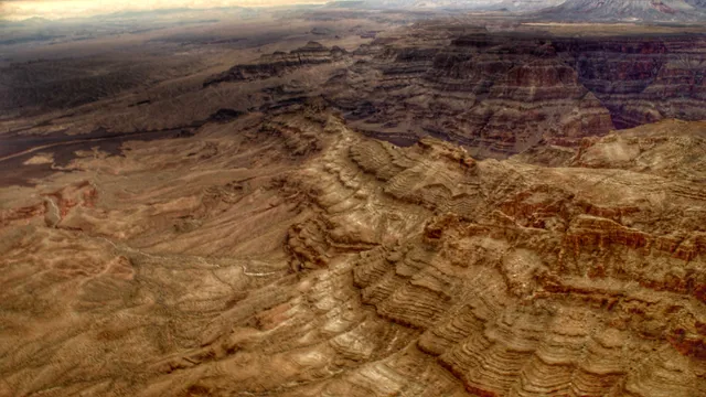 Nevada Desert Experience