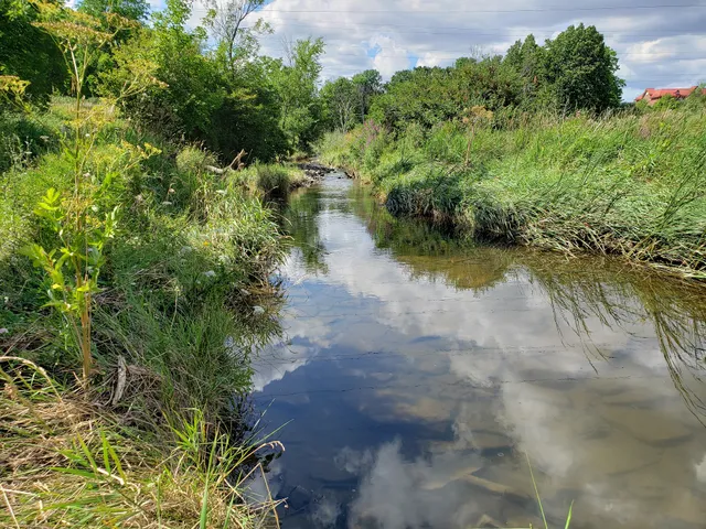 Woodland Chase Trail