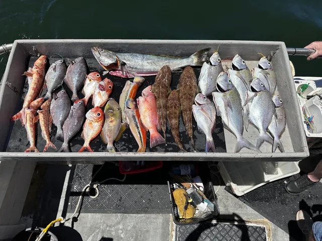 Deep Blue Charters Australia - Deep Sea Fishing Charters Sydney