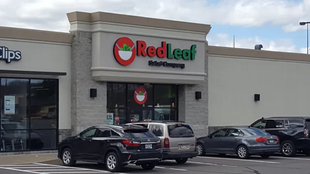 Red Leaf Salad Company