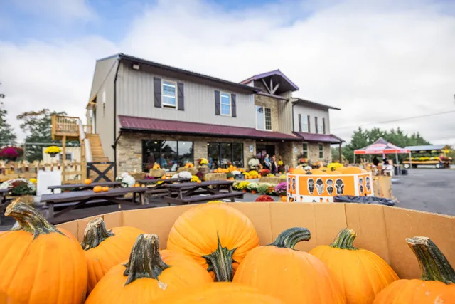 Widespread Country Market